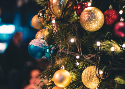 Finding the Perfect Christmas Tree: Which is the Most Realistic Option?