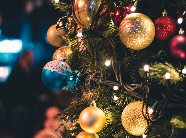 Finding the Perfect Christmas Tree: Which is the Most Realistic Option?